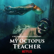My teacher the octopus